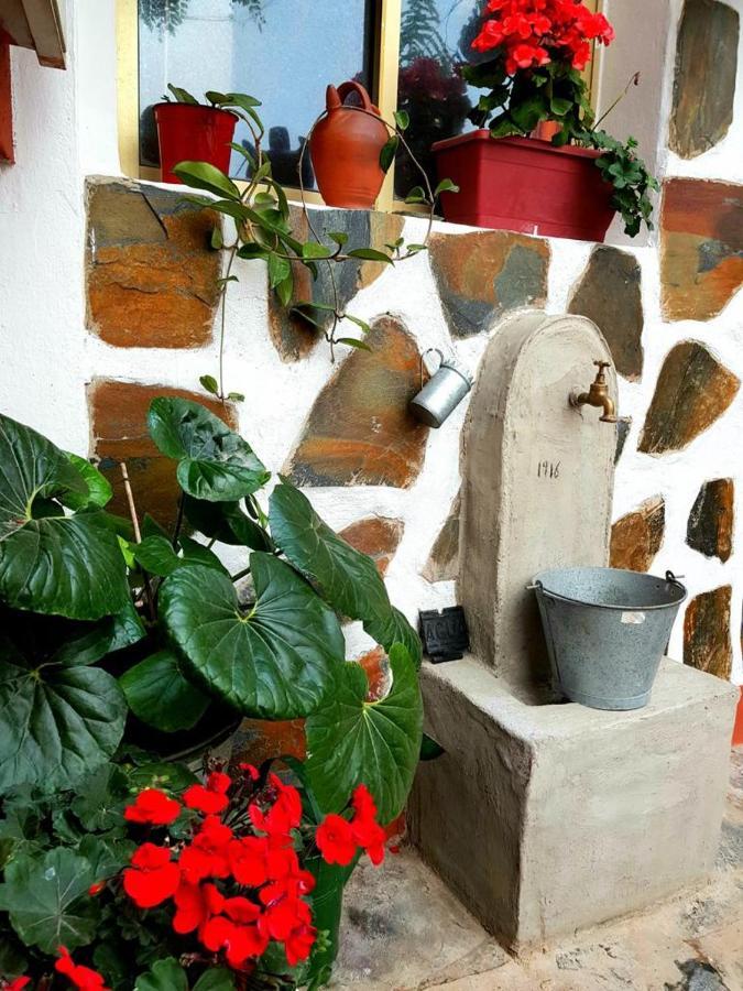 Vivienda Vacacional Ca Na Paula La Orotava Ngoại thất bức ảnh