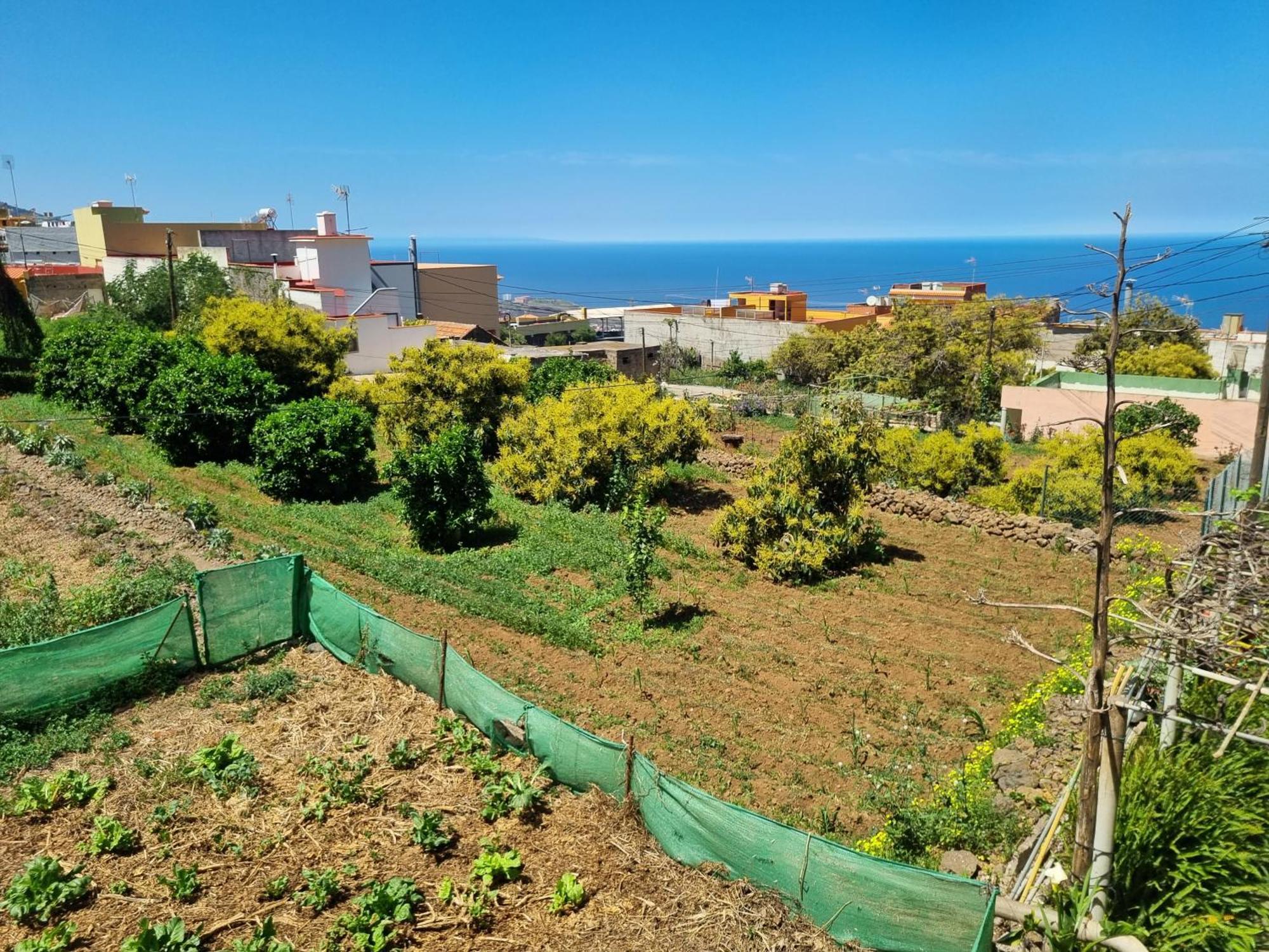 Vivienda Vacacional Ca Na Paula La Orotava Ngoại thất bức ảnh