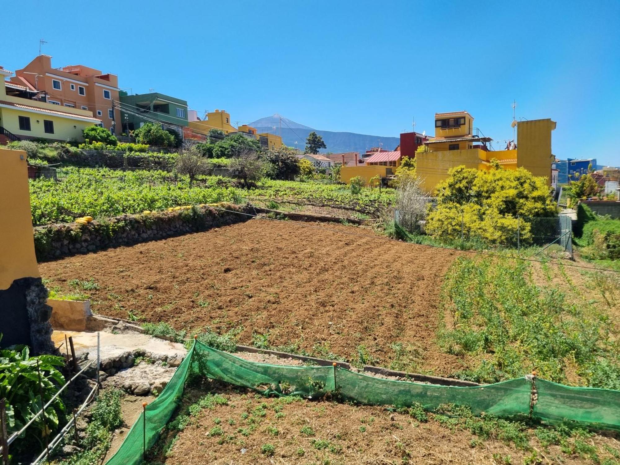 Vivienda Vacacional Ca Na Paula La Orotava Ngoại thất bức ảnh
