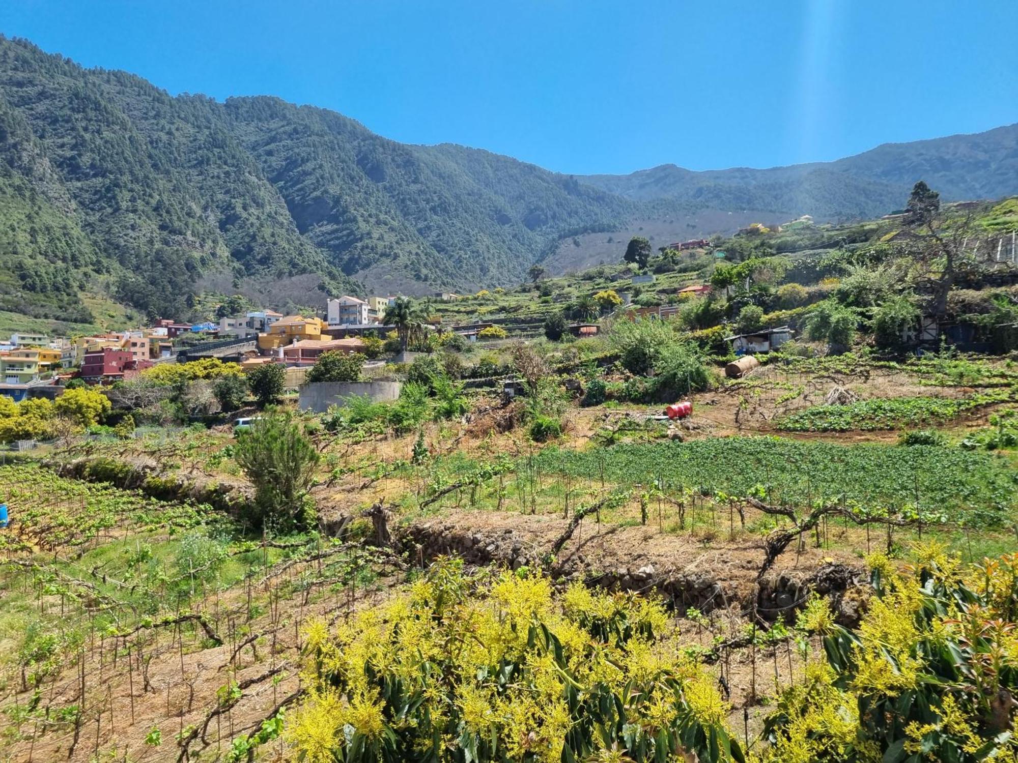 Vivienda Vacacional Ca Na Paula La Orotava Ngoại thất bức ảnh